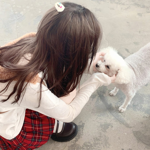 色天使在线观看
