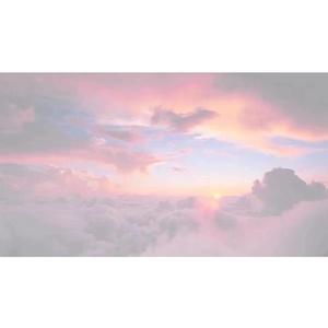 色天使在线观看
